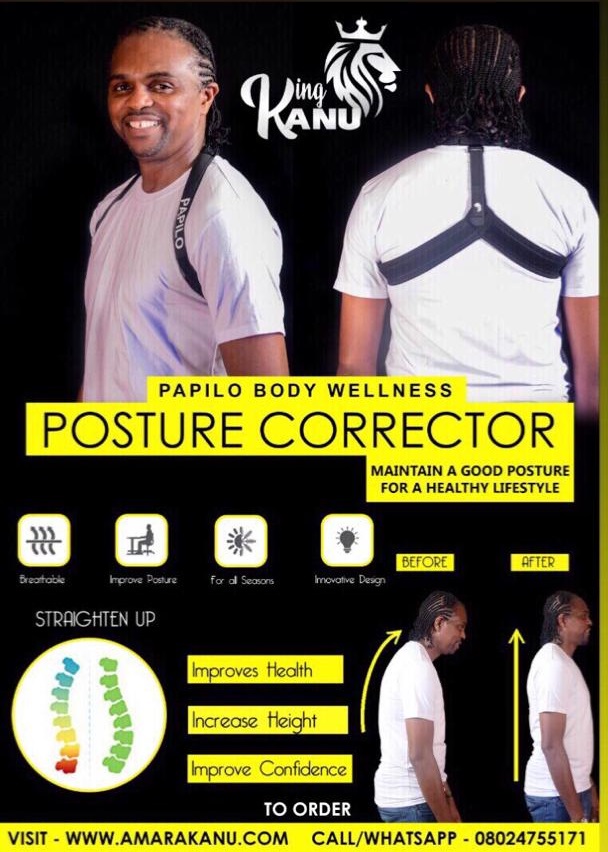 PAPILO BODY WELLNESS AND POSTURE CORRECTOR